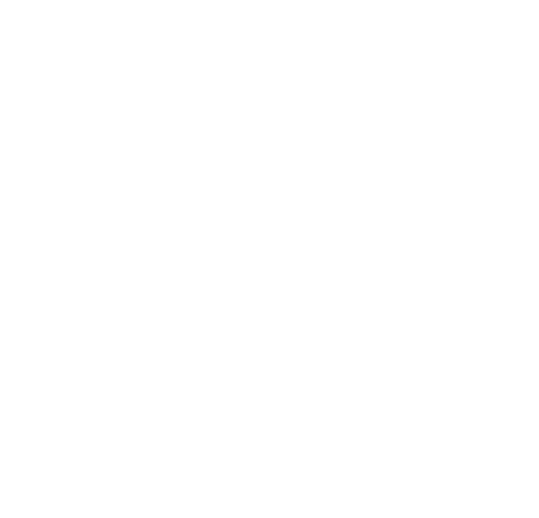 Thermo King Süd