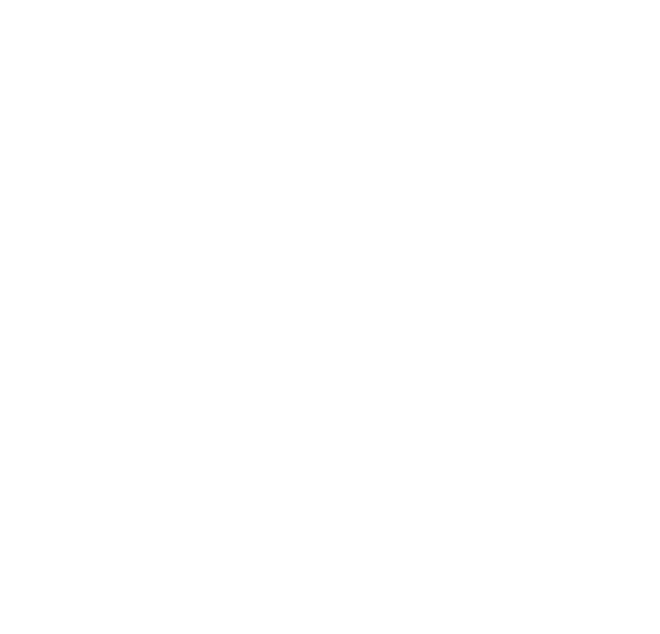 EnBW