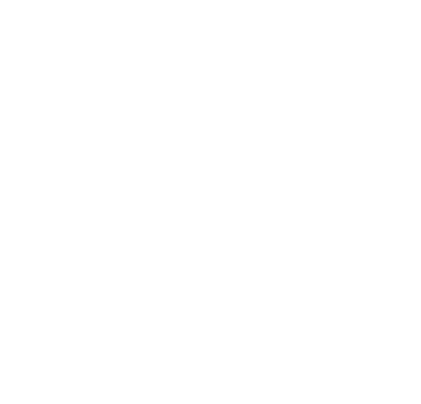 Schweizer Gebäudereinigung